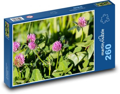 Różowa koniczyna - dzika roślina, łąka - Puzzle 260 elementów, rozmiar 41x28,7 cm