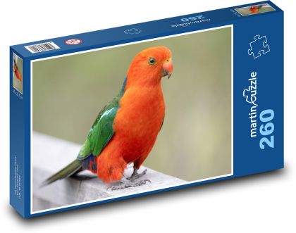 Austrálsky papagáj kráľovský - vták, perie - Puzzle 260 dielikov, rozmer 41x28,7 cm