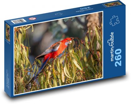 Papoušek - rozela, pták - Puzzle 260 dílků, rozměr 41x28,7 cm