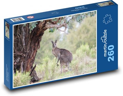 Klokan šedivý - Austrálie, zvíře - puzzle 260 dílků