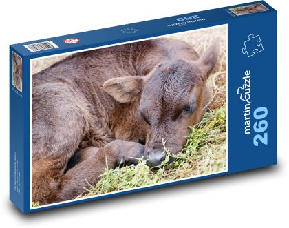 Cielę - młoda krowa, zwierzę - Puzzle 260 elementów, rozmiar 41x28,7 cm