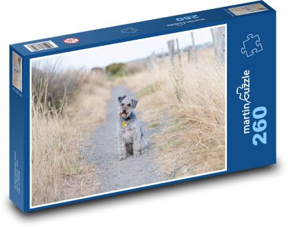 Schnoodle - Haustier, Hund - Puzzle - 260 Teile