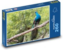 Paw - ptak, kolorowe pióra Puzzle 260 elementów - 41x28,7 cm