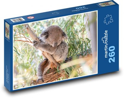 Koala na stromě - vačnatec, býložravec - puzzle 260 dílků