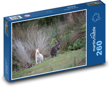 Kengura biela - zviera, vačkovec - Puzzle 260 dielikov, rozmer 41x28,7 cm