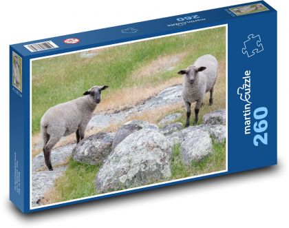 Ovce - pastvina, farma  - puzzle 260 dílků