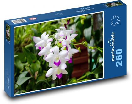 Orchid - flower, flower - Puzzle 260 pieces, size 41x28.7 cm 