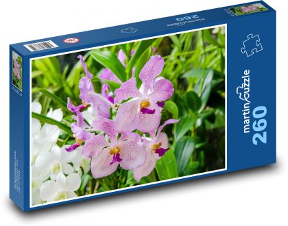 Růžová orchidej - květ, rostlina - Puzzle 260 dílků, rozměr 41x28,7 cm