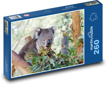 Koala na strome - vačkovec, zviera - Puzzle 260 dielikov, rozmer 41x28,7 cm