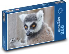 Lemur - divoká zvěř, Madagaskar  Puzzle 260 dílků - 41 x 28,7 cm