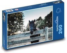 Černý kůň - ohrada, farma Puzzle 260 dílků - 41 x 28,7 cm
