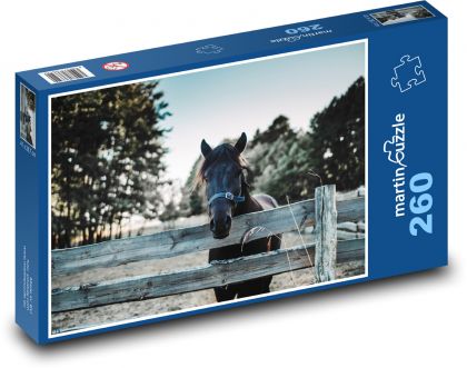 Černý kůň - ohrada, farma - Puzzle 260 dílků, rozměr 41x28,7 cm