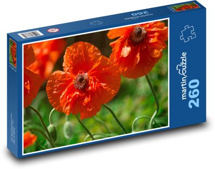 Poppy - red flowers, meadow - Puzzle 260 pieces, size 41x28.7 cm 