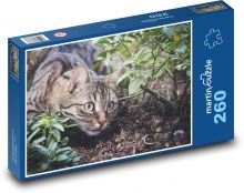 Mourovatá mačka - číhať, záhrada Puzzle 260 dielikov - 41 x 28,7 cm 