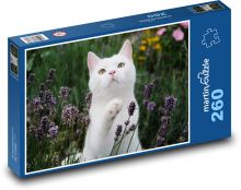 Britská krátkosrstá kočka - bílá, zahrada Puzzle 260 dílků - 41 x 28,7 cm