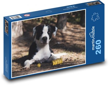 Roztomilý pes - mazlíček, venku - Puzzle 260 dílků, rozměr 41x28,7 cm