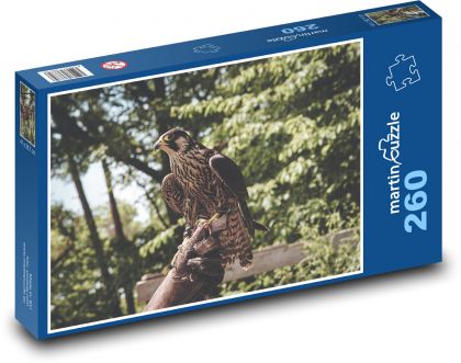 Sokół - ptak, drapieżnik - Puzzle 260 elementów, rozmiar 41x28,7 cm