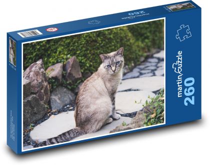 Siamská mačka - záhrada, vonku - Puzzle 260 dielikov, rozmer 41x28,7 cm