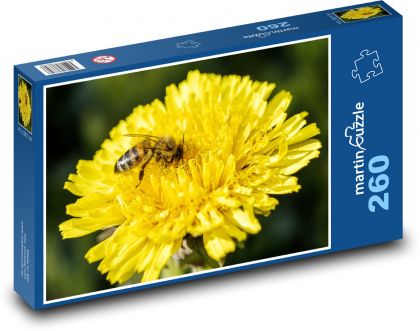 Pszczoła na kwiatku - mniszek lekarski, żółty kwiat - Puzzle 260 elementów, rozmiar 41x28,7 cm