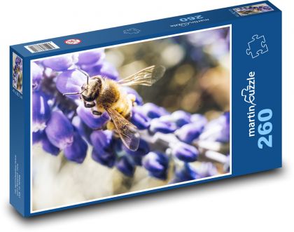 Včela - hmyz, květ - puzzle 260 dílků