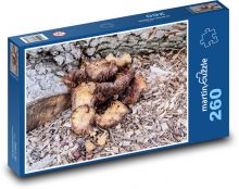 Mushroom - nature, forest Puzzle 260 pieces - 41 x 28.7 cm