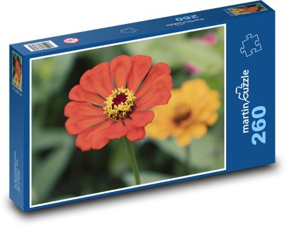 Červená cínia - kvetina, kvet - Puzzle 260 dielikov, rozmer 41x28,7 cm