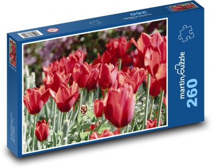 Červené tulipány - kvety, kvety - Puzzle 260 dielikov, rozmer 41x28,7 cm