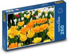 Pole tulipánů - oranžové květy, květiny Puzzle 260 - 41x28,7 cm