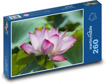 Lekno - ružový kvet, kvetina Puzzle 260 dielikov - 41 x 28,7 cm 