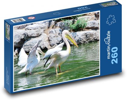 Weiße Pelikane - Vögel, Tiere - Puzzle - 260 Teile