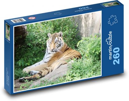 Tygr - zvíře, zoo  - Puzzle 260 dílků, rozměr 41x28,7 cm