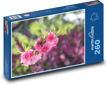 Broskvové květy - strom, zahrada - Puzzle 260 dílků, rozměr 41x28,7 cm