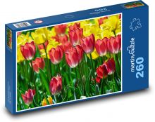 Pole tulipánov - žlté kvety, kvety Puzzle 260 dielikov - 41 x 28,7 cm 