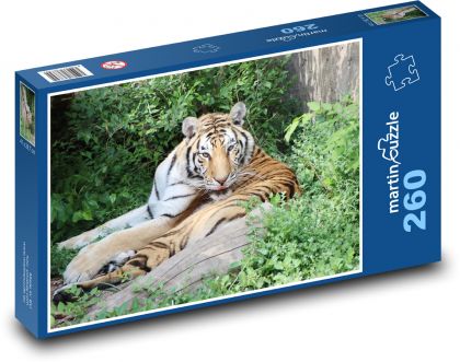 Tygr - zvíře, divoká zvěř - Puzzle 260 dílků, rozměr 41x28,7 cm
