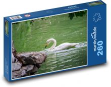 Bílá labuť - vodní pták, jezero Puzzle 260 dílků - 41 x 28,7 cm