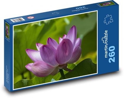 Lotus flower - purple plant, purple flower - Puzzle 260 pieces, size 41x28.7 cm 