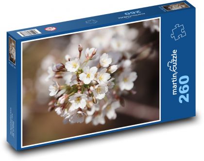Kirschblüten - Sakura, Kirschen - Puzzle - 260 Teile