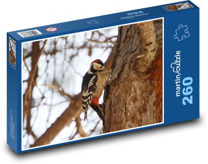 Dzięcioł na drzewie - ptak, piórka - Puzzle 260 elementów, rozmiar 41x28,7 cm