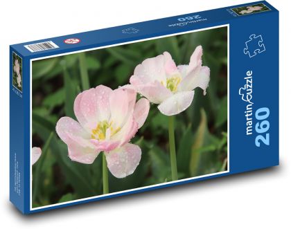 Różowe tulipany - kwiat, ogród - Puzzle 260 elementów, rozmiar 41x28,7 cm