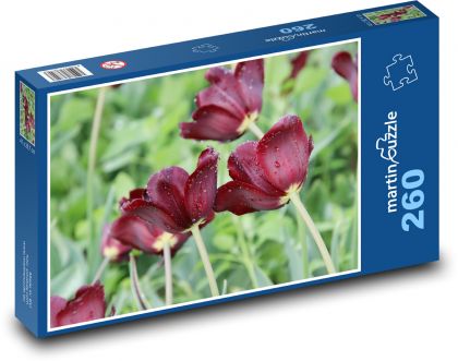 Flowering tulips - flowers, garden - Puzzle 260 pieces, size 41x28.7 cm 