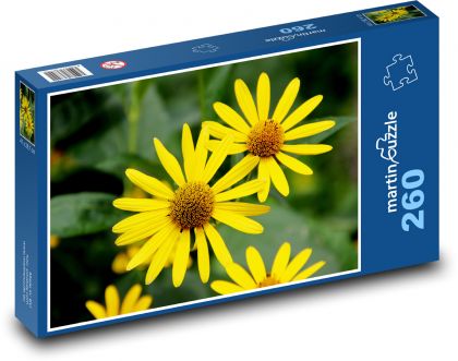 Yellow flowers - flowers, garden - Puzzle 260 pieces, size 41x28.7 cm 