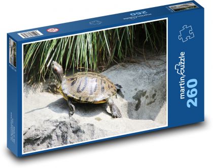 Żółw - zwierzę wodne, gad - Puzzle 260 elementów, rozmiar 41x28,7 cm