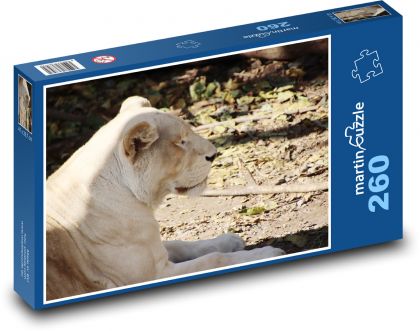 Lioness - mammal, wild cat - Puzzle 260 pieces, size 41x28.7 cm 