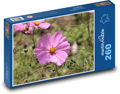 Růžová krásenka - květina, květ - Puzzle 260 dílků, rozměr 41x28,7 cm