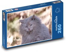 Kočka domácí - savec. mazlíček Puzzle 260 - 41x28,7 cm