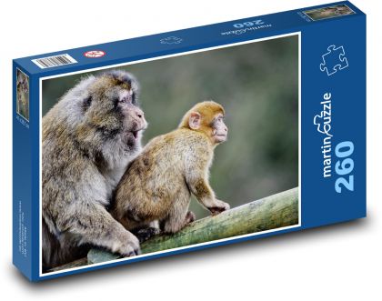 Barbarští makakové - opice, mládě - Puzzle 260 dílků, rozměr 41x28,7 cm
