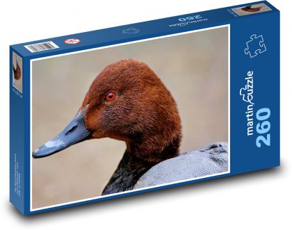 Duck - bird, beak - Puzzle 260 pieces, size 41x28.7 cm 