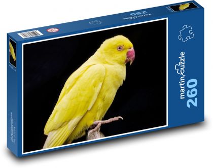 Žlutý papoušek - pták, peří - Puzzle 260 dílků, rozměr 41x28,7 cm