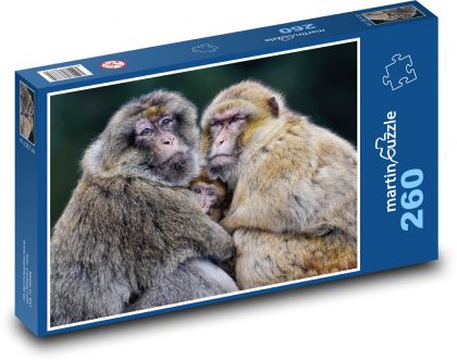 Barbarská opice - makak, rodina - Puzzle 260 dílků, rozměr 41x28,7 cm