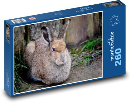 Divoký zajíc - zvíře, les - Puzzle 260 dílků, rozměr 41x28,7 cm